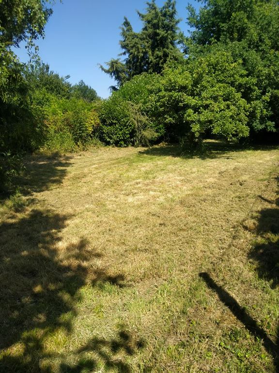 Maison MORSANG SUR ORGE (91390) BAZIN IMMOBILIER