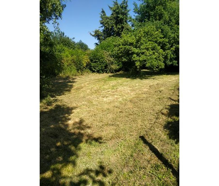 Maison MORSANG SUR ORGE (91390) BAZIN IMMOBILIER